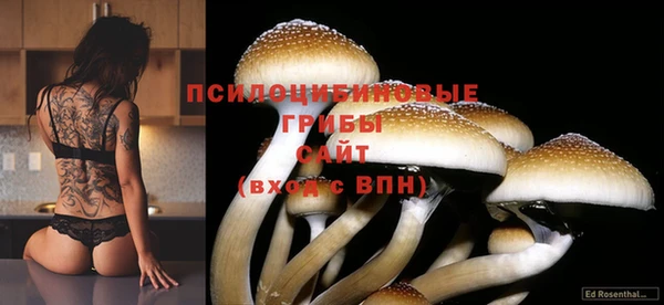 скорость Балабаново